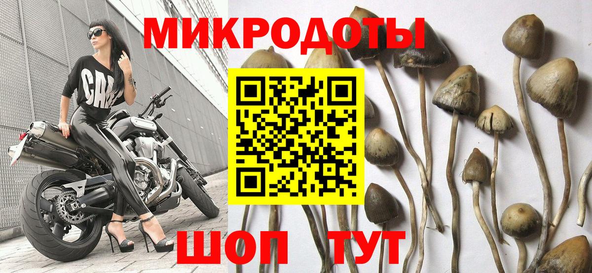 наркотики  Вход с VPN  Галлюциногенные грибы ЛСД  Рославль  Галлюциногенные грибы Psilocybe 