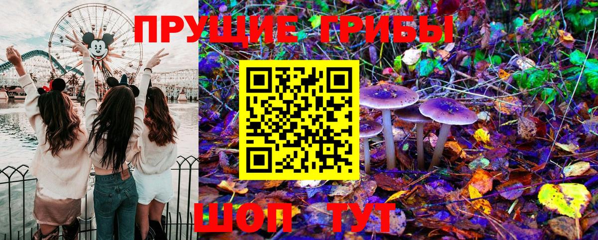 Псилоцибиновые грибы Psilocybine cubensis Рославль